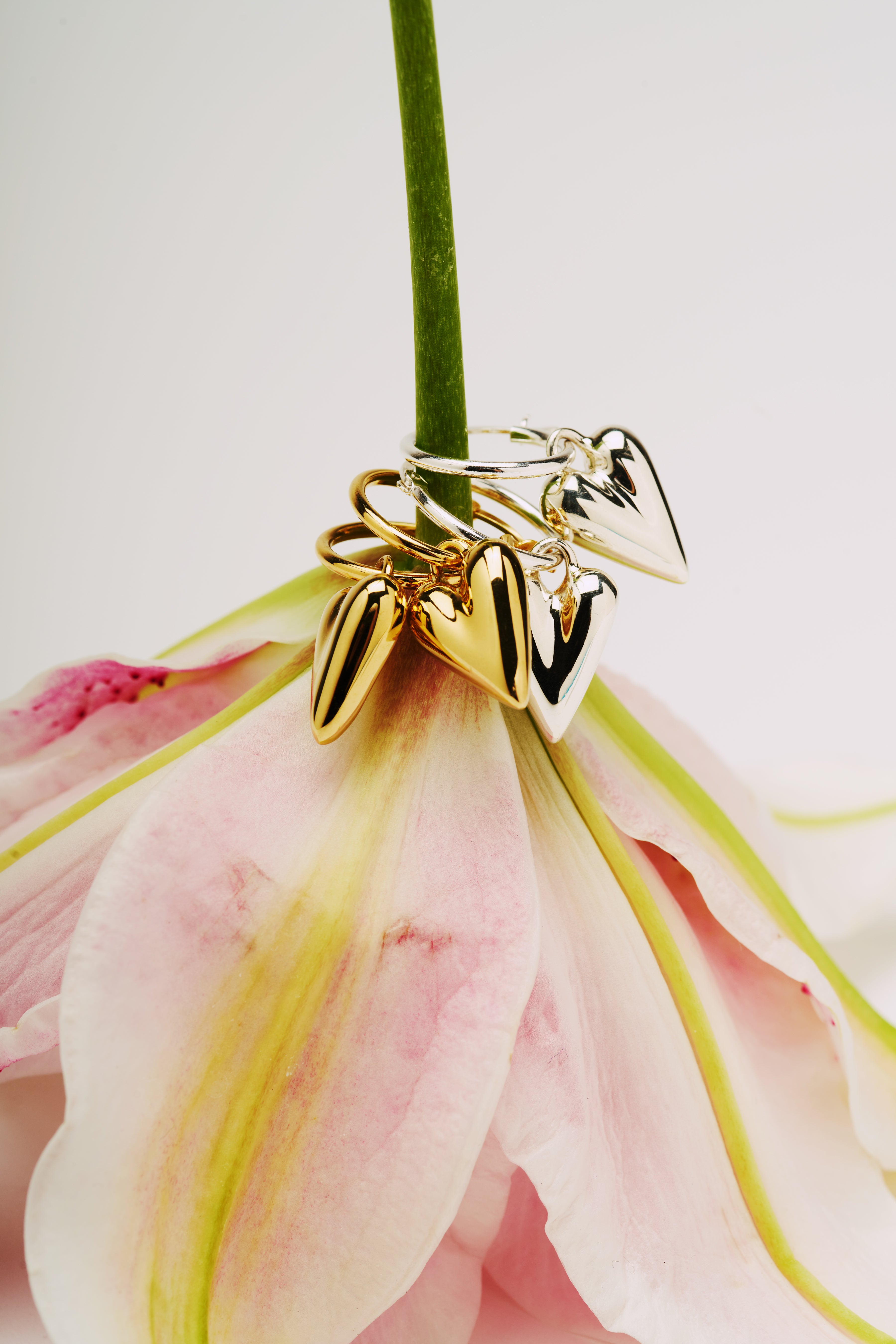 R.heart pierce