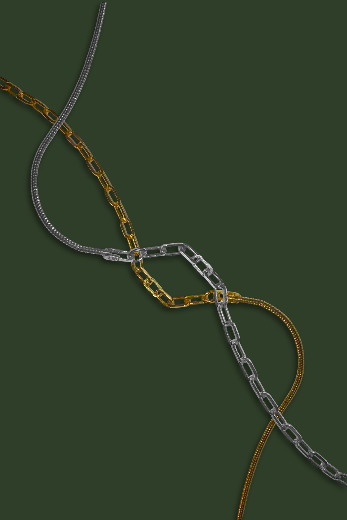 archi snake NC