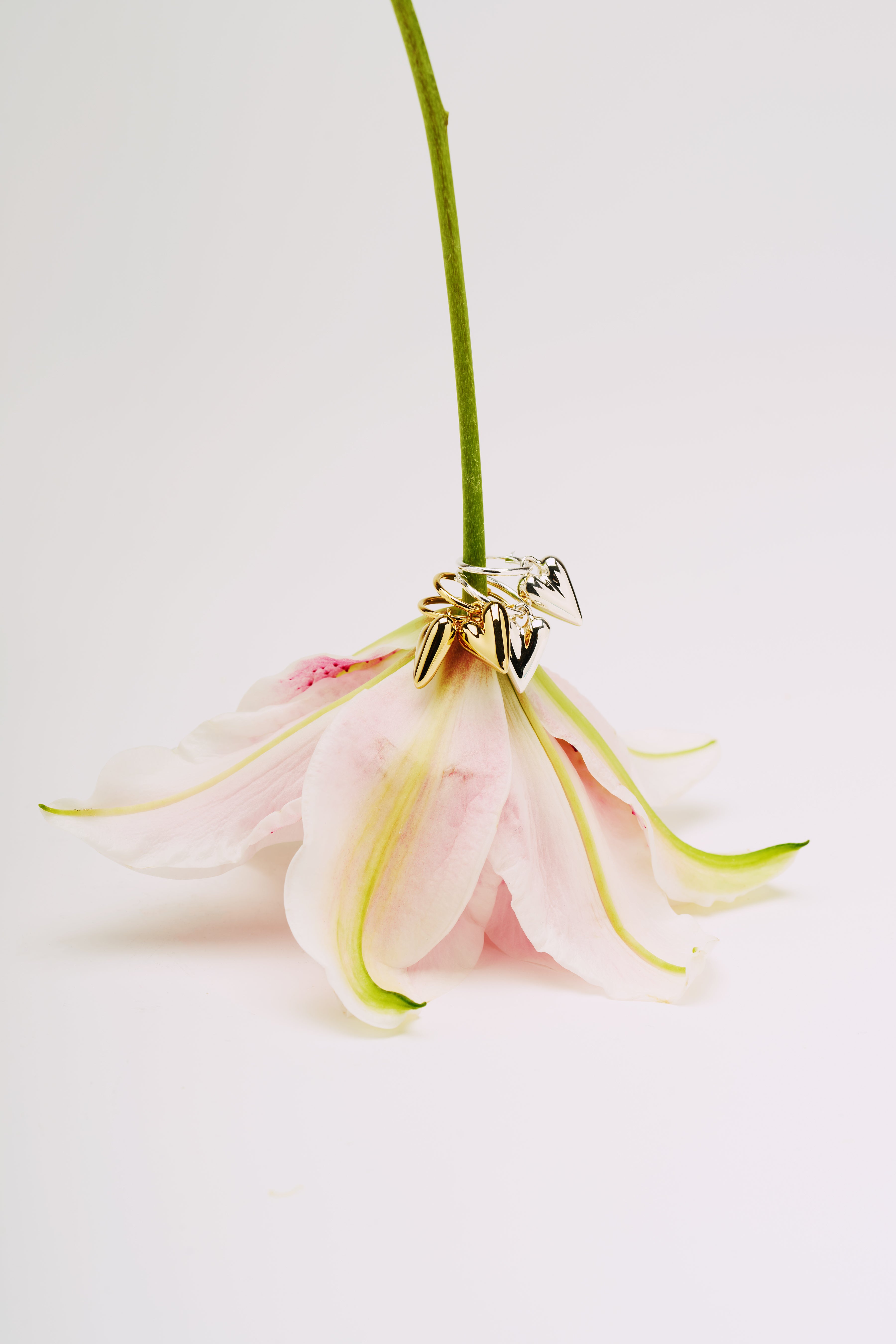 R.heart pierce