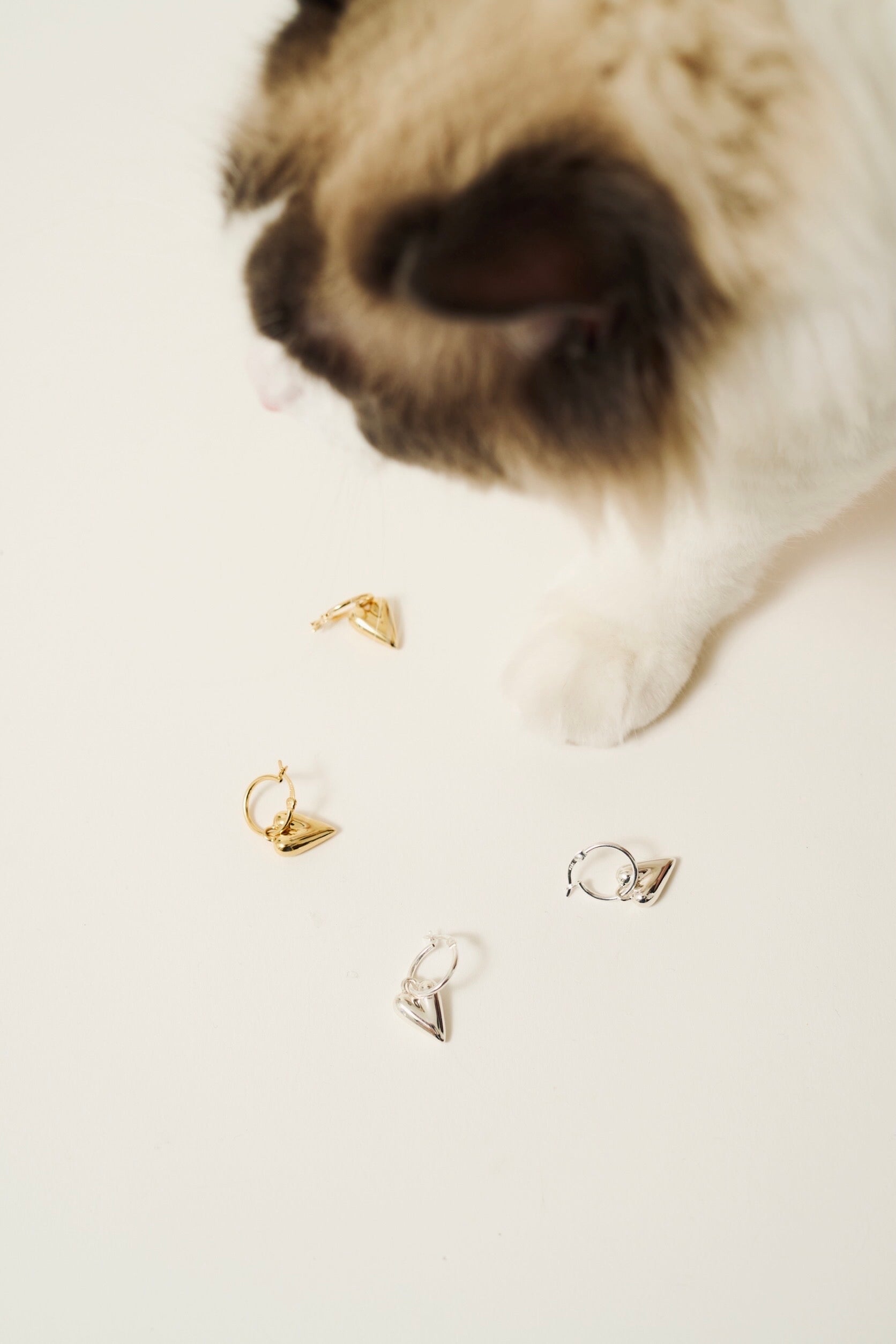 R.heart pierce