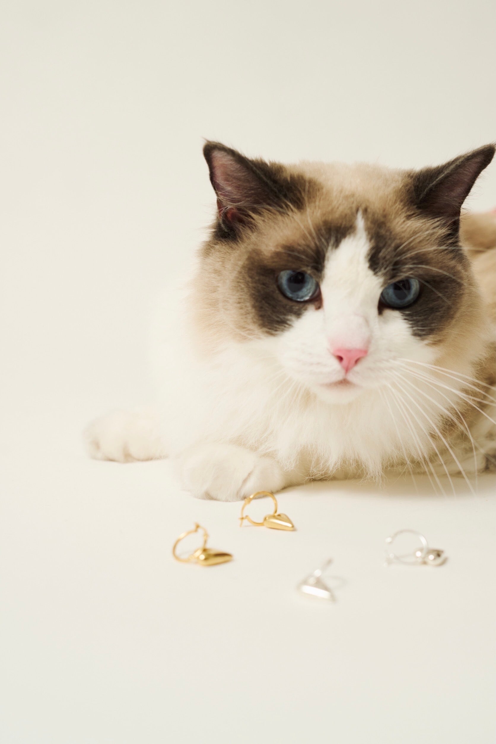 R.heart pierce